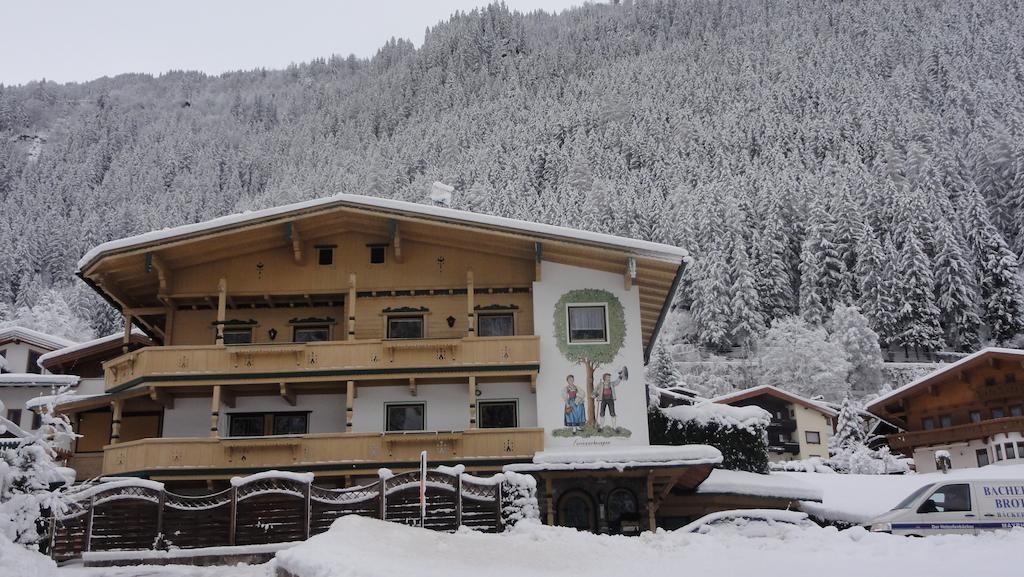 Ferienwohnungen Am Riedanger Mayrhofen Exterior foto
